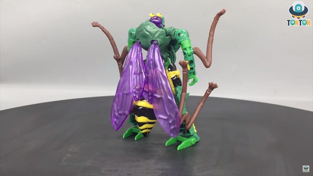 Transformers Kingdom Deluxe Class Waspinator  (12 of 38)